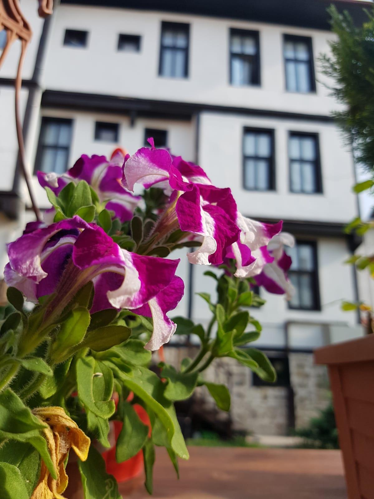 Kadioglu Konagi Hotel คาสตาโมนู ภายนอก รูปภาพ